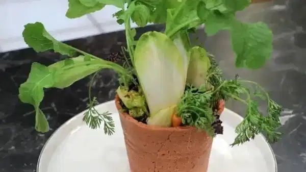 Somer Şef'in efsane reçetesi: MasterChef Ben Saksı Değilim tarifi