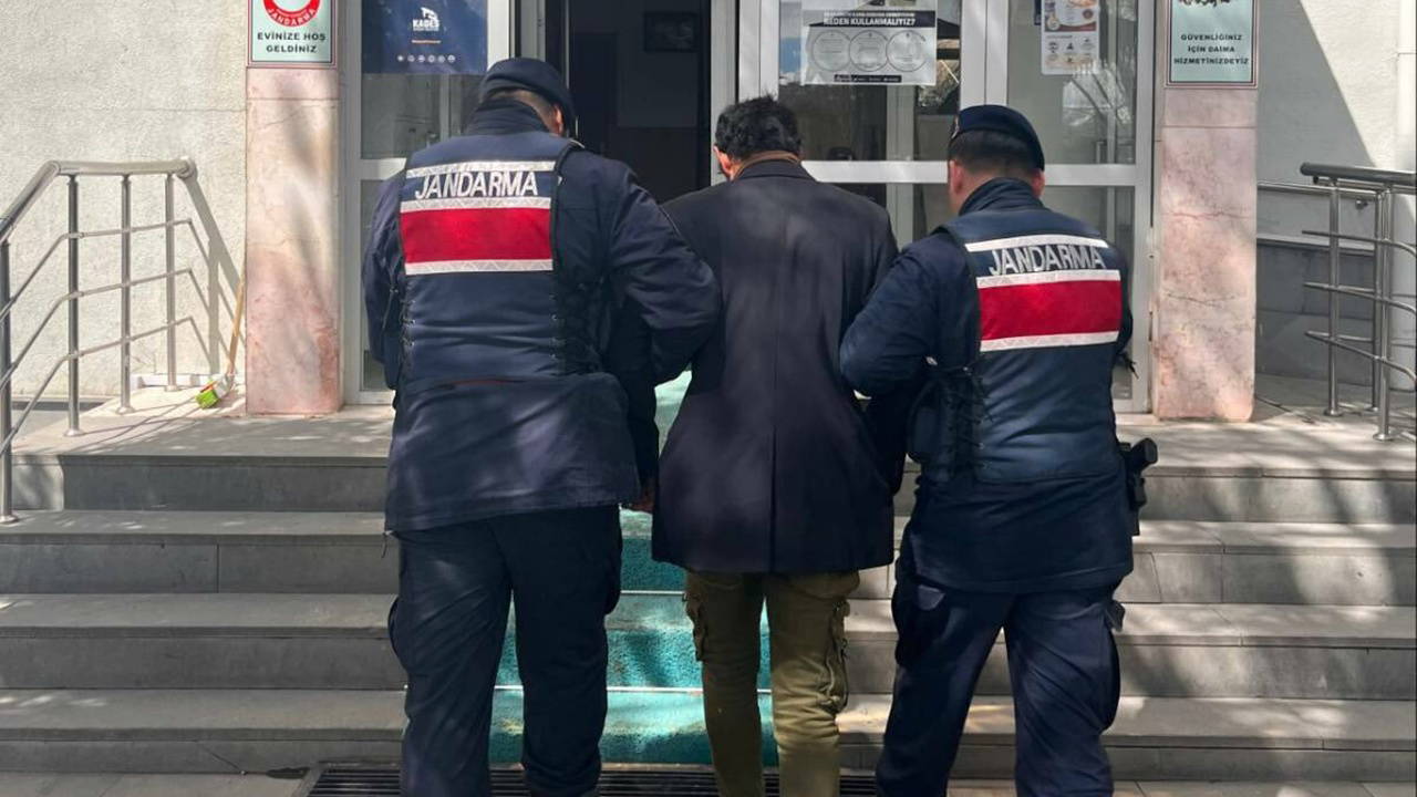 Kan donduran olay... Köpeği asarak öldüren kişi gözaltına alındı