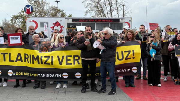 Sokak hayvanlarının tedavisi bürokrasiye takıldı, çip zorunluluğu öne sürüldü: İyilik yapan risk altında