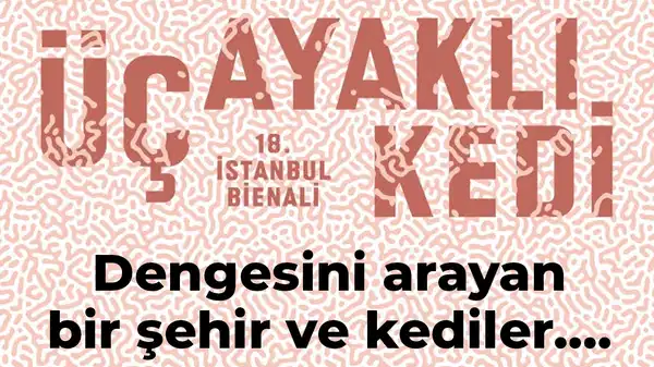 Dengesini arayan bir şehir ve kediler...