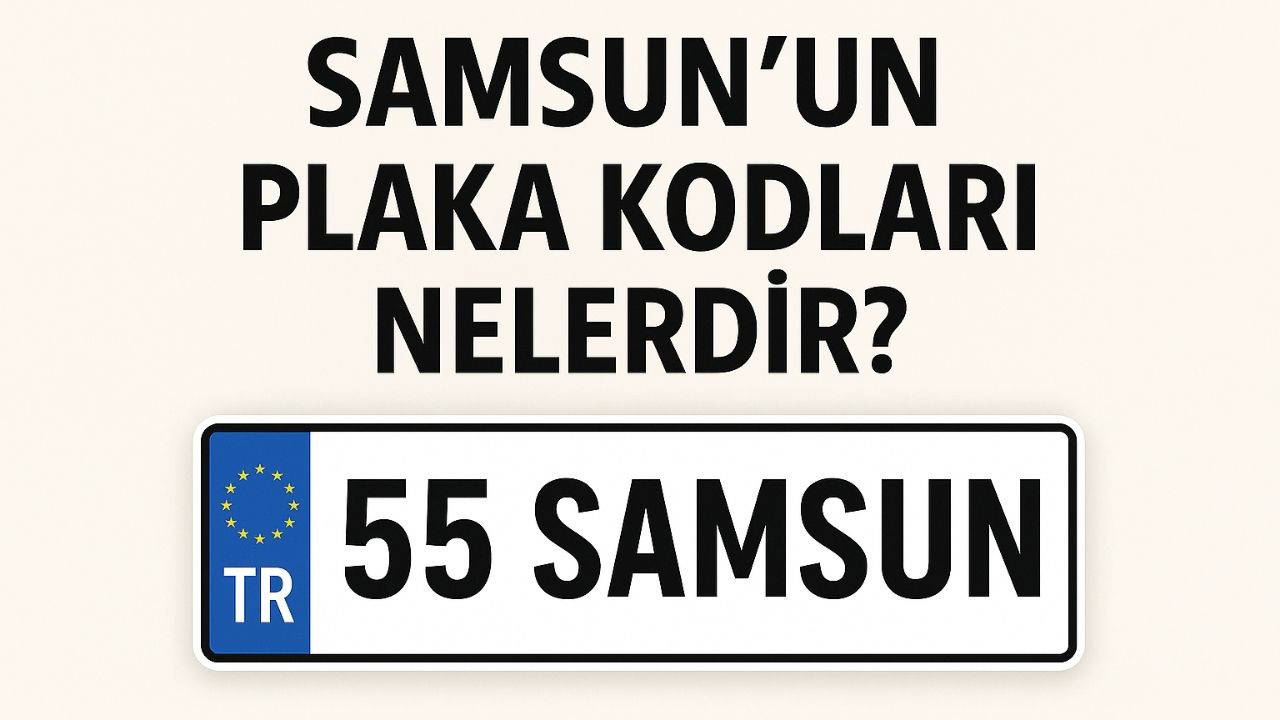 Samsun'un plaka kodu ne? Samsun'un plaka numarası kaç? Samsun ve ilçelerinin plaka harfleri...