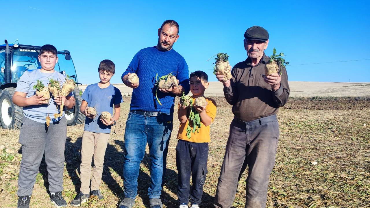 Türkiye'nin en geç hasat noktası! 6 aylık emek yüz güldürdü