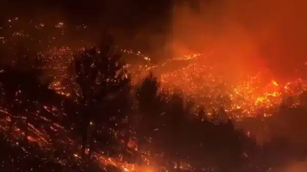 Hırvatistan'da dev orman yangınları... 1'i Polonyalı 4 kişi gözaltına alındı