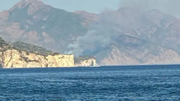 Marmaris'te orman yangını