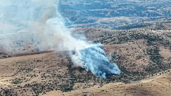 Afyonkarahisar'da orman yangını: Rüzgarın etkisiyle büyüyen alevlere hava desteği istendi