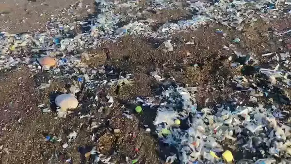 Zafer Partili Aslan: 'Plastik ve karışık atık ithalatı tamamen durdurulmalı, mevcut tesisler denetlenmeli'