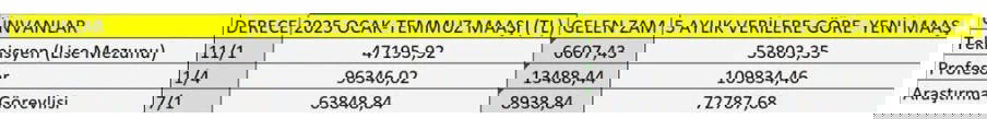 5 aylık veriler açıklandı: Kim ne kadar enflasyon zammı alacak? İşte meslek meslek tam liste...