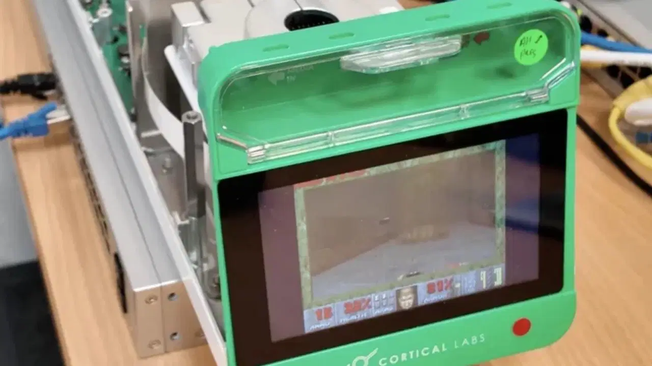 200 bin canlı beyin hücresi Doom oynamayı öğrendi