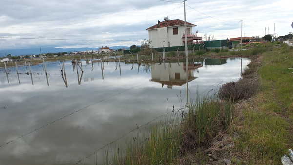 Burhaniye'yi sert yağış vurdu: Yazlıklar ve tarlalar su içinde kaldı