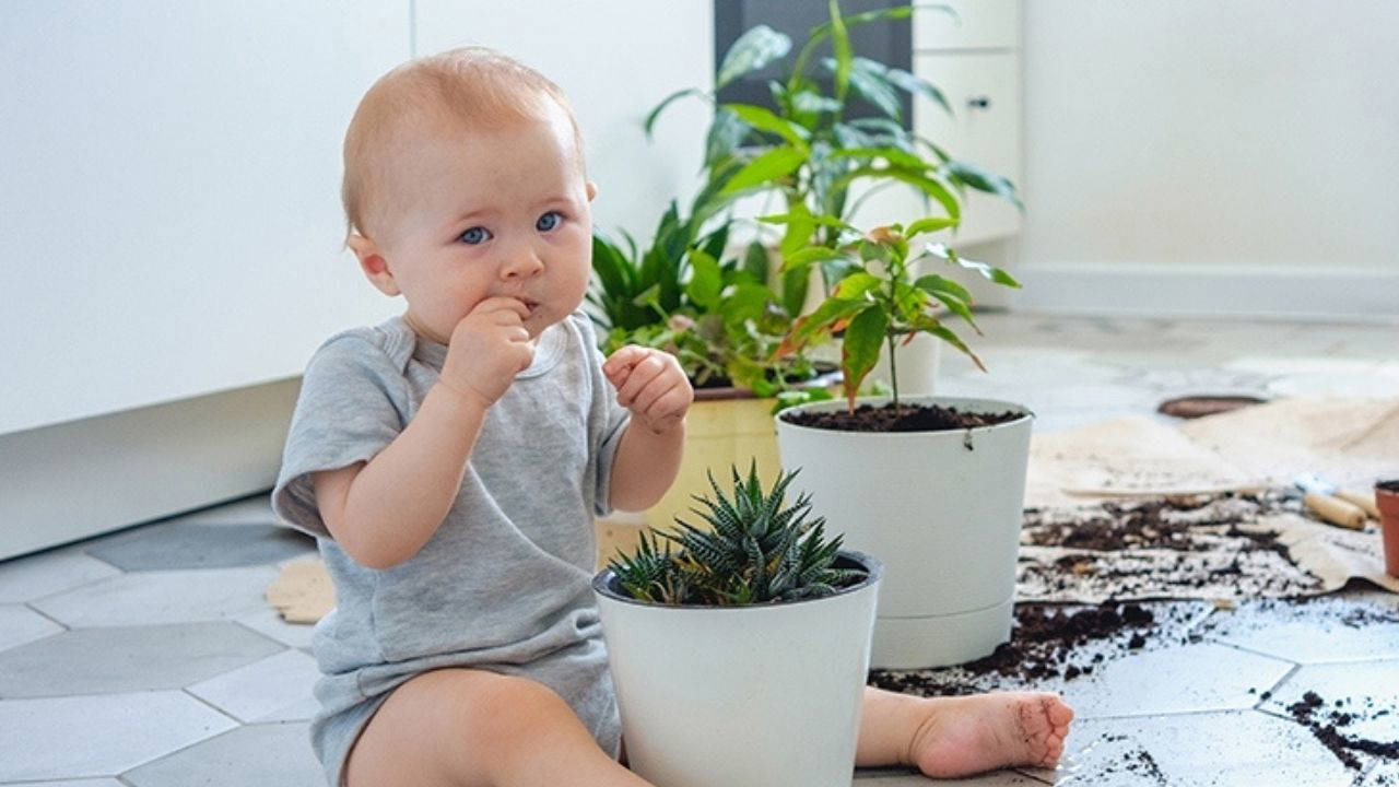 Deterjan veya toprak yeme isteğine dikkat: Demir eksikliğinin gizli sinyalleri!