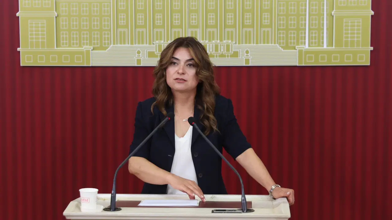 DEM Parti Grup Başkanvekili Koçyiğit: 'Süreçle ilgili çerçeve yasa taslağının bu hafta İmralı Heyeti'ne sunulmasını bekliyoruz'