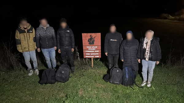 Edirne'de operasyon: 29 kaçak göçmen yakalandı