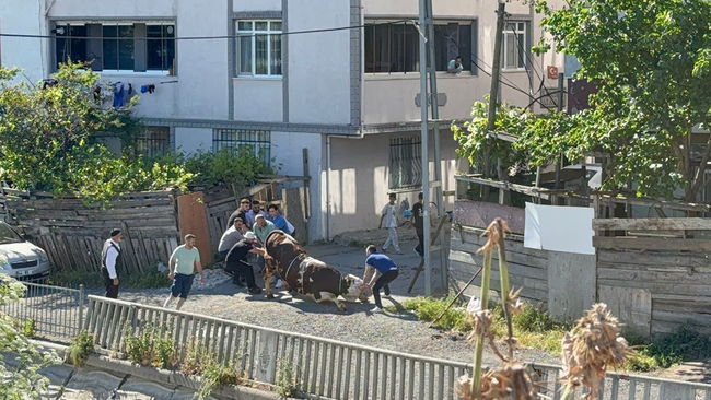 Bu bayram da aynı manzara...