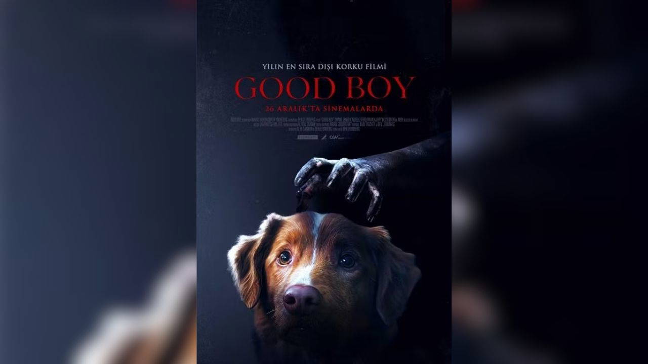 Yılın son haftasında vizyondaki filmler: Bu hafta 7 film sinemalarda!