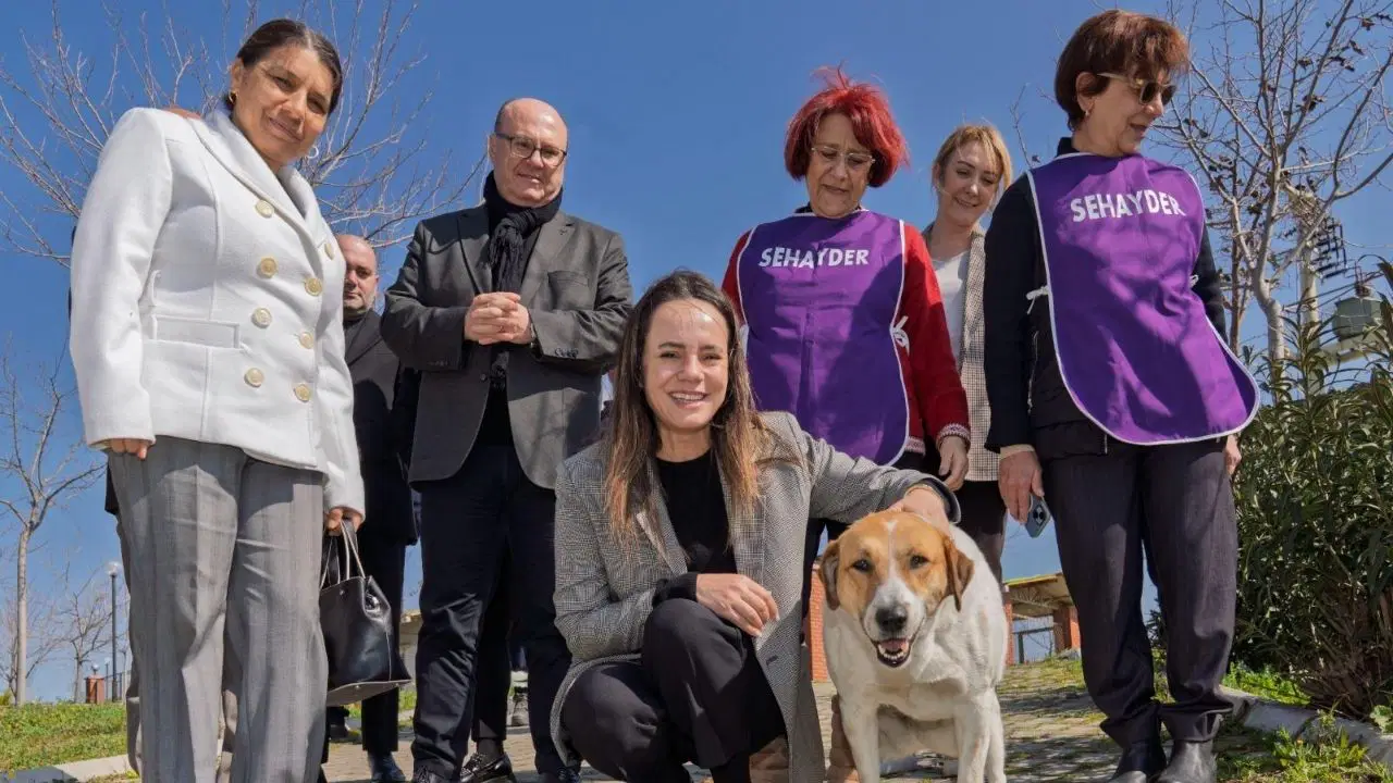 Bir yılda 86 bin sokak hayvanı tedavi edildi