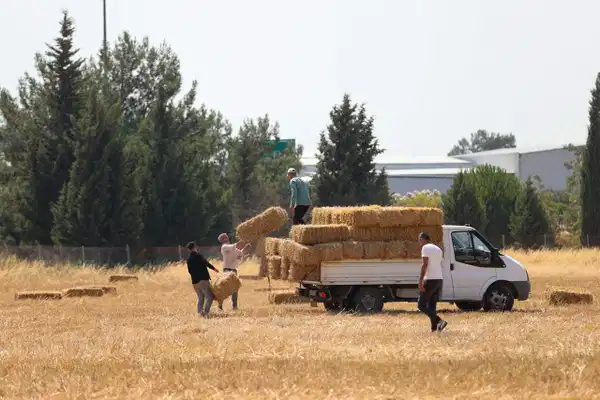 Buca’da üreticiye saman desteği