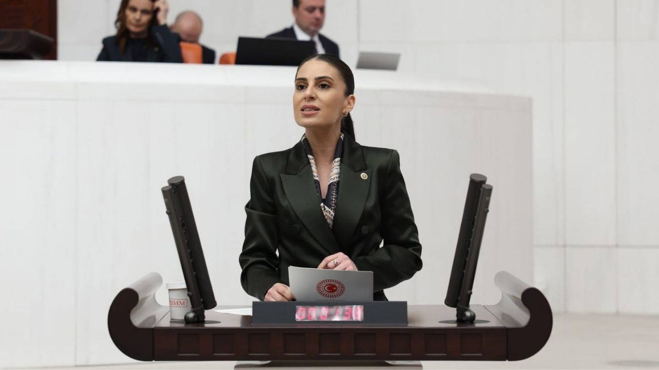 CHP’li Özcan: Hayvanların yaşam hakkını gasp eden yasa, belediyelere de baskı aracına dönüştü