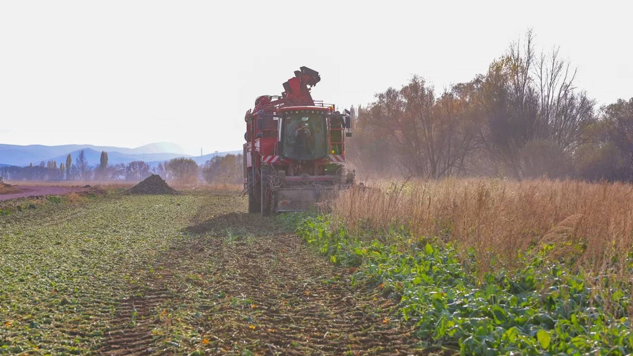 Bayburt’ta hasat başladı: 43 köyde üretiliyor...