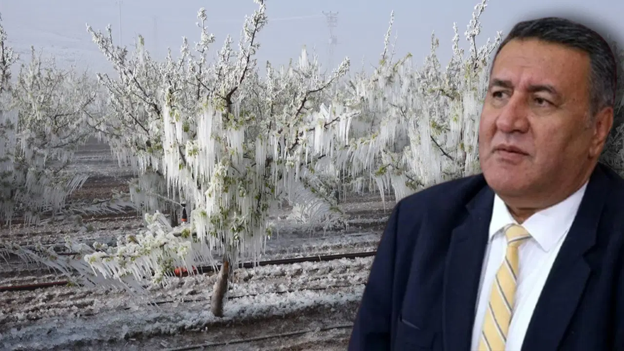 CHP'den hükümete zirai don çıkışı: 'Herkes mağdur herkes çaresiz'