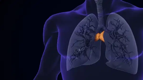 Yetişkinlerde 'gereksiz' denilen organ uzun yaşamın anahtarı çıktı