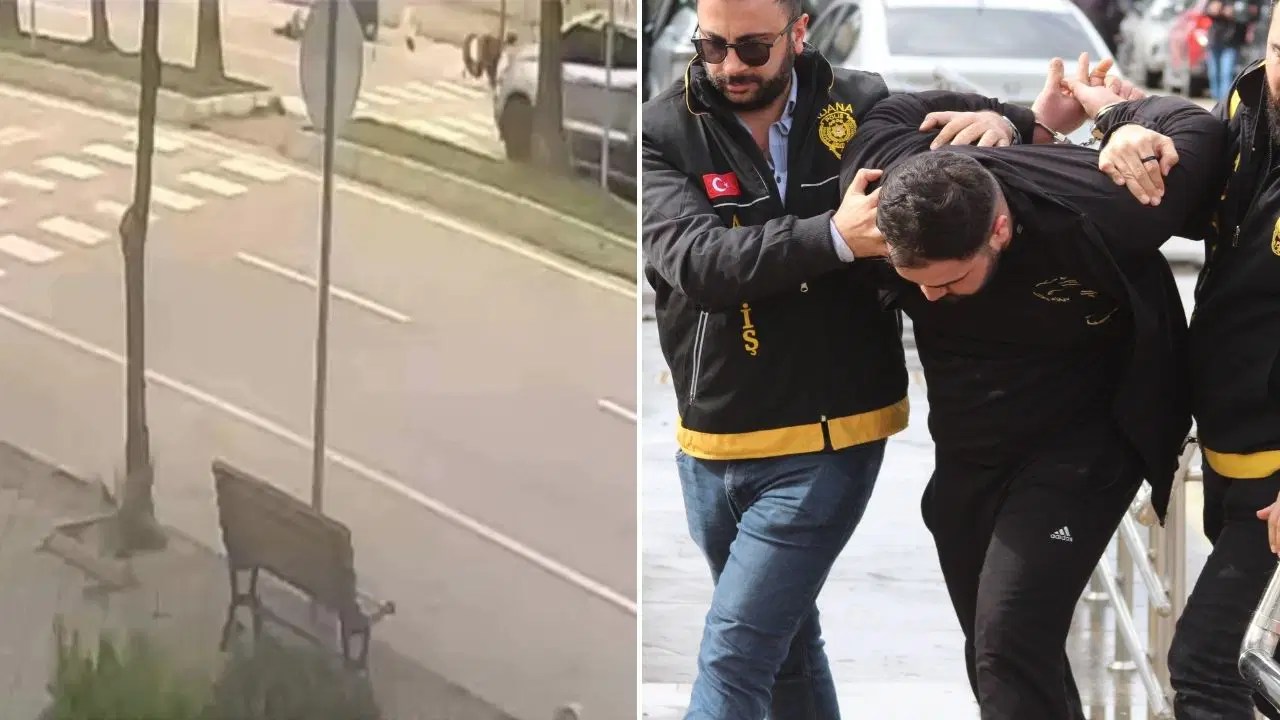 17 aylık bebeğin ölümüne neden olmuştu: Sürücü ehliyetsiz çıktı!