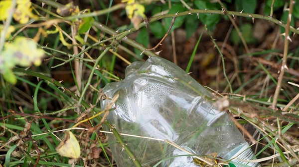 İklim sözlüğü: Plastbanta