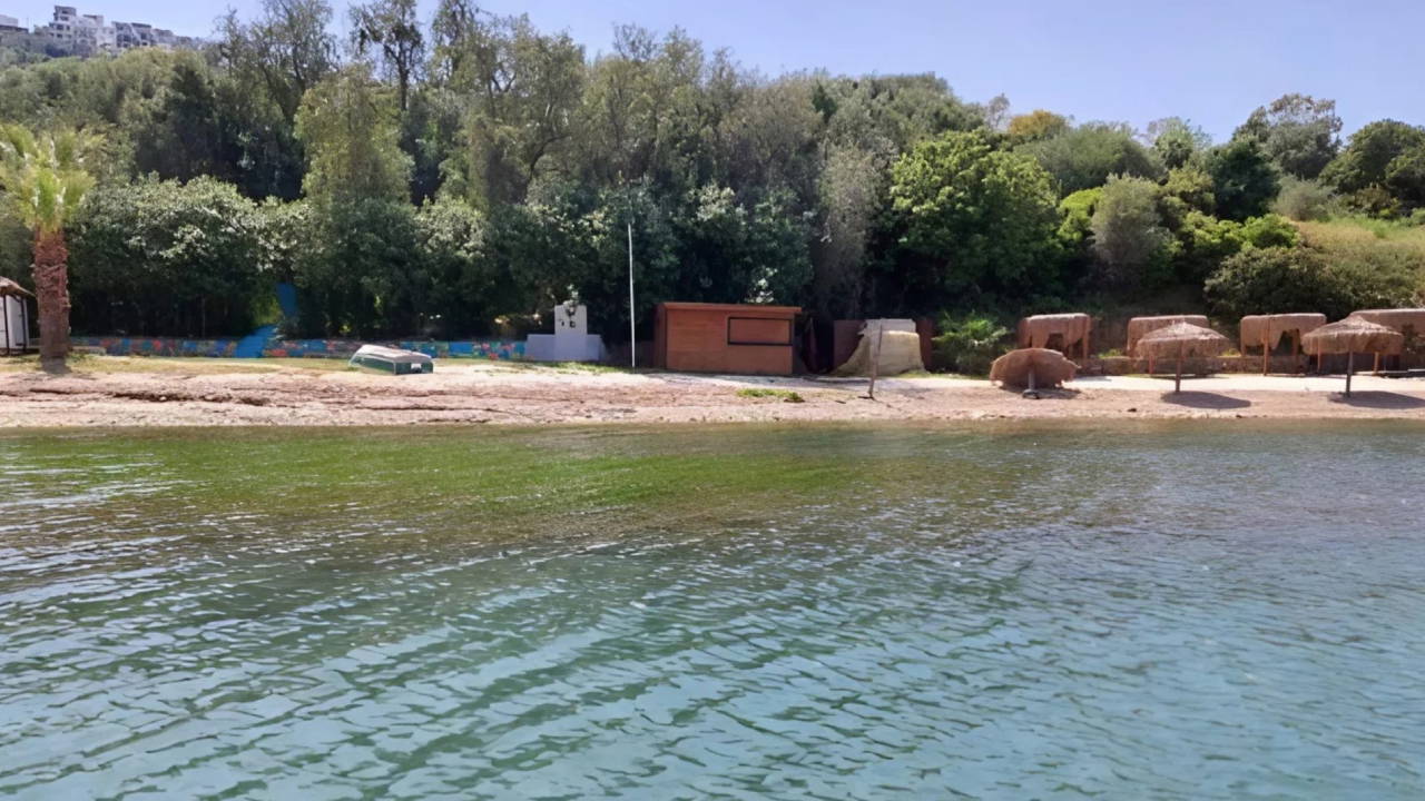 Milas Boğaziçi'ndeki balıkçı barınağı projesinin ÇED süreci sonlandırıldı