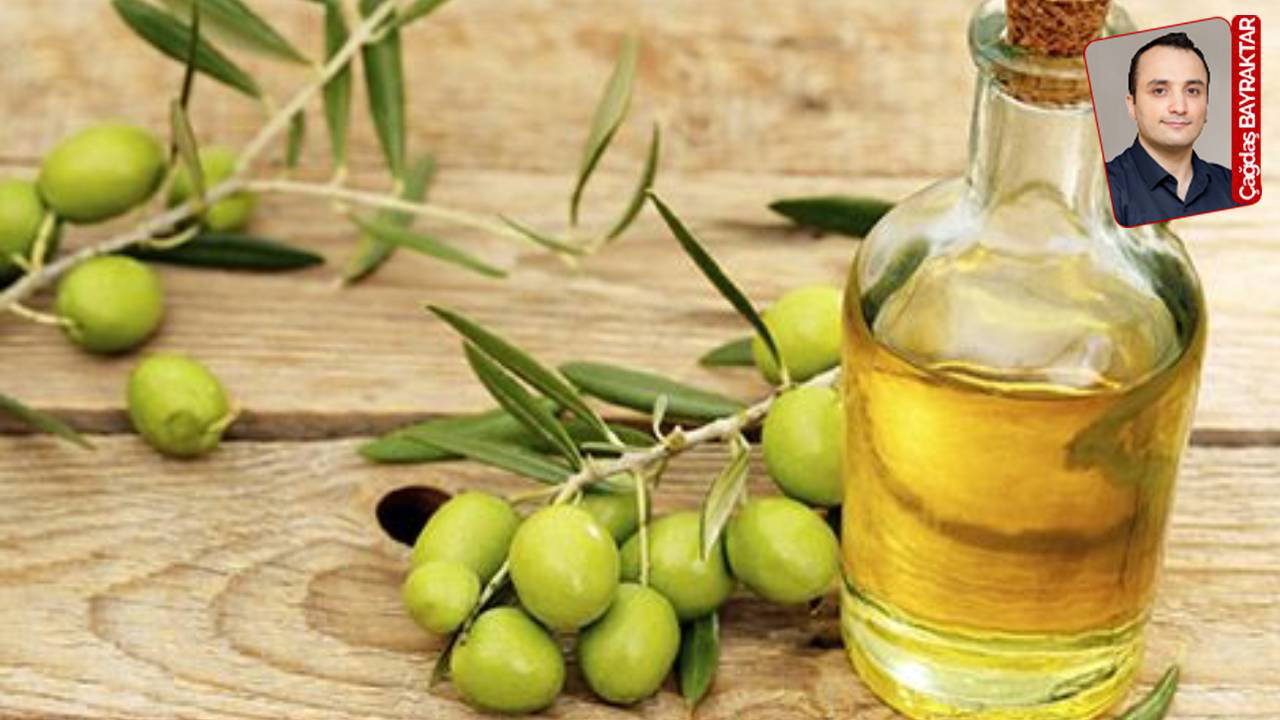 Zeytin, insanlığa şifa oluyor: Barışın ve bereketin simgesi