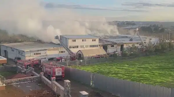 İstanbul Tuzla'da fabrika yangını