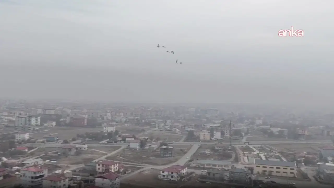 Iğdır'daki hava kirliliği gözle görülür durumda: 'Doğal gaz ağı genişleyemiyor'