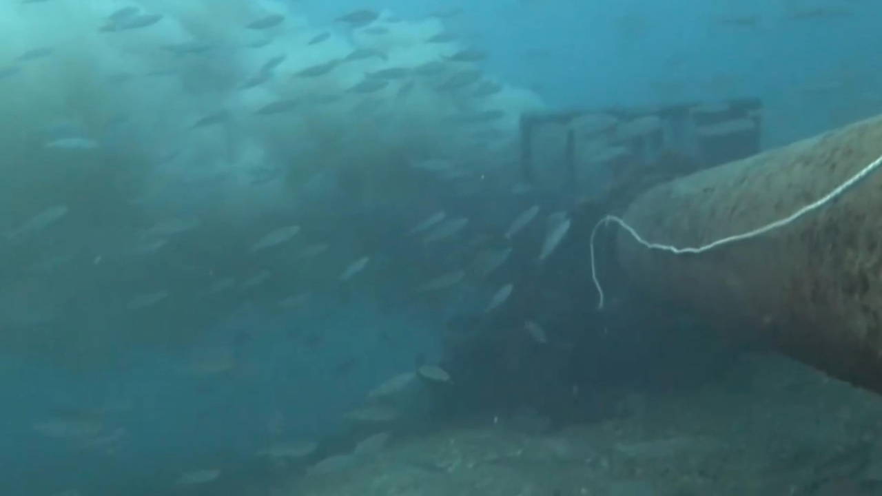 Çanakkale Boğazı'nda denize dökülen kirli su, dalgıç kamerasına yansıdı