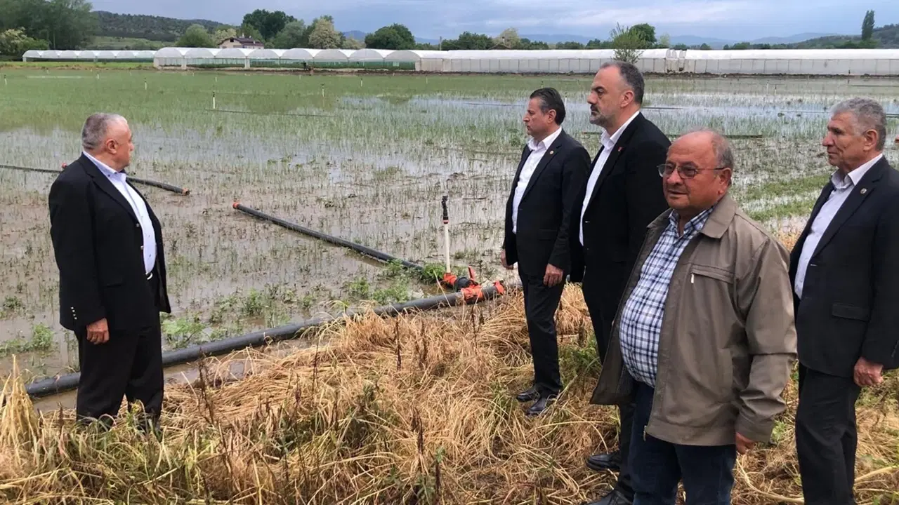 Amasya'da seralar sular altında kaldı: CHP'li vekiller bölgede inceleme yaptı