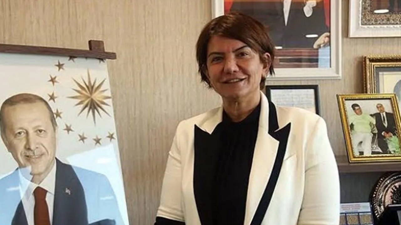AKP'li Suna Kepolu Ataman: Tahminen anayasada Kürtlerin adı geçecek, PKK'nin bazı talepleri karşılanacak
