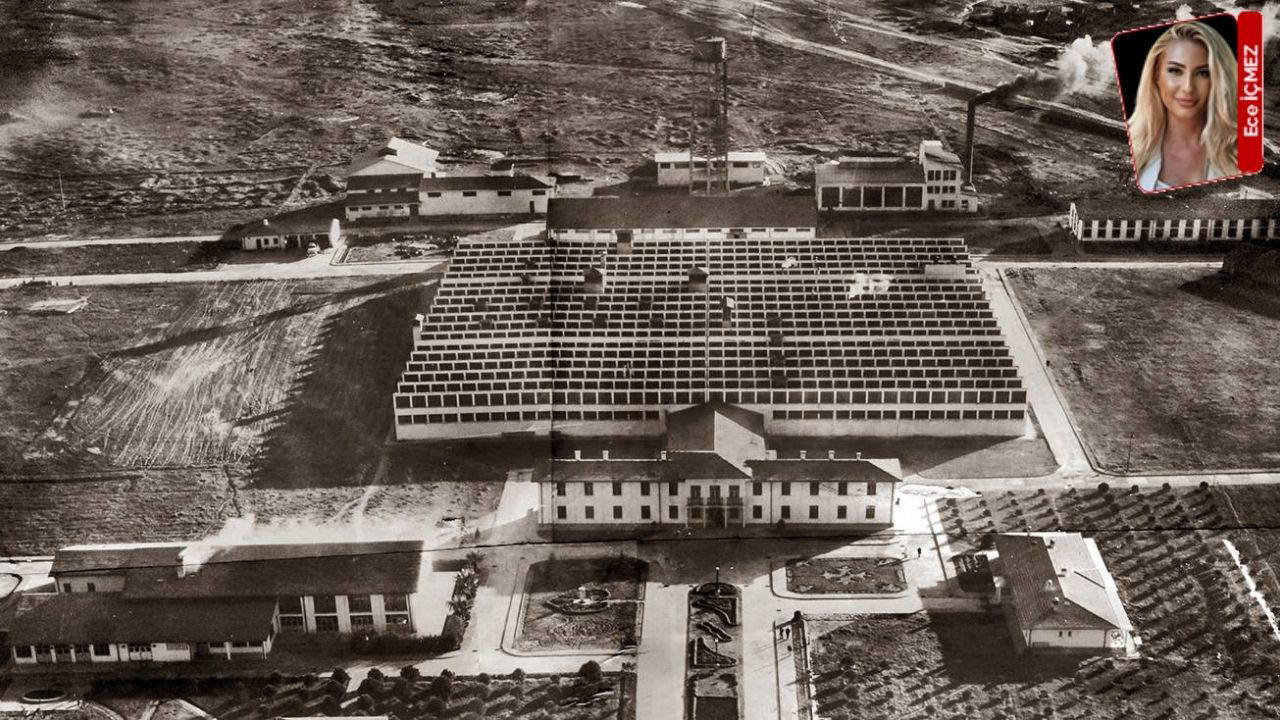 Emeğin mirası: Fabrika Bergama