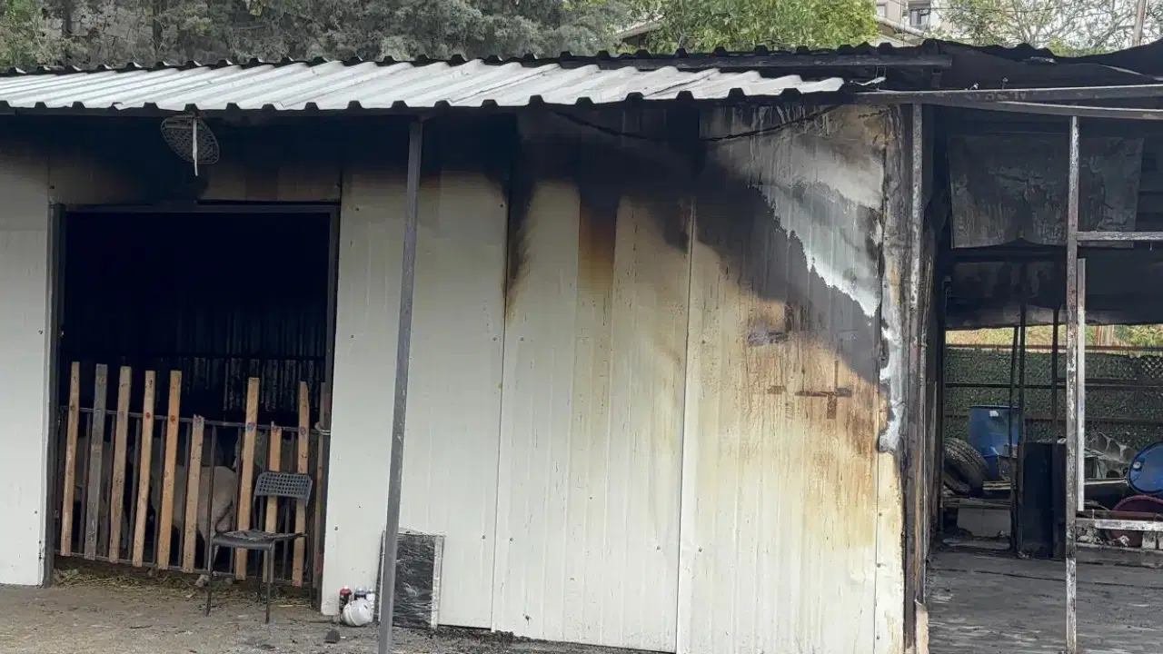 Eyüpsultan’da kurban kesim alanında yangın: 1 kişi hayatını kaybetti