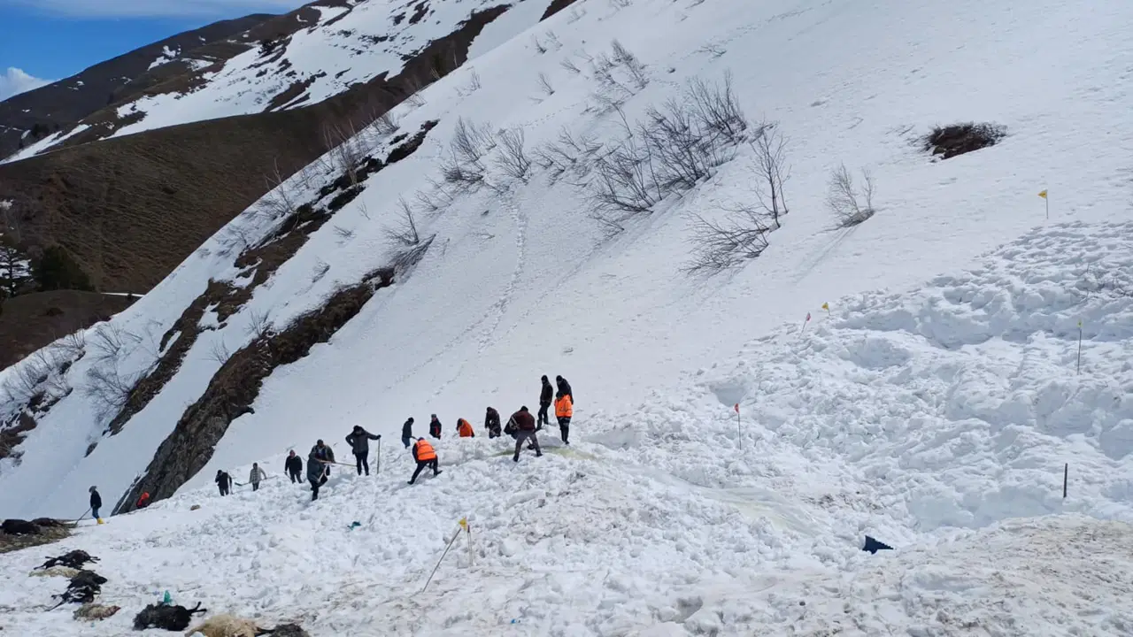 4 ay önce çığ altında kalmıştı: Çobanı arama çalışmaları 4. gününde