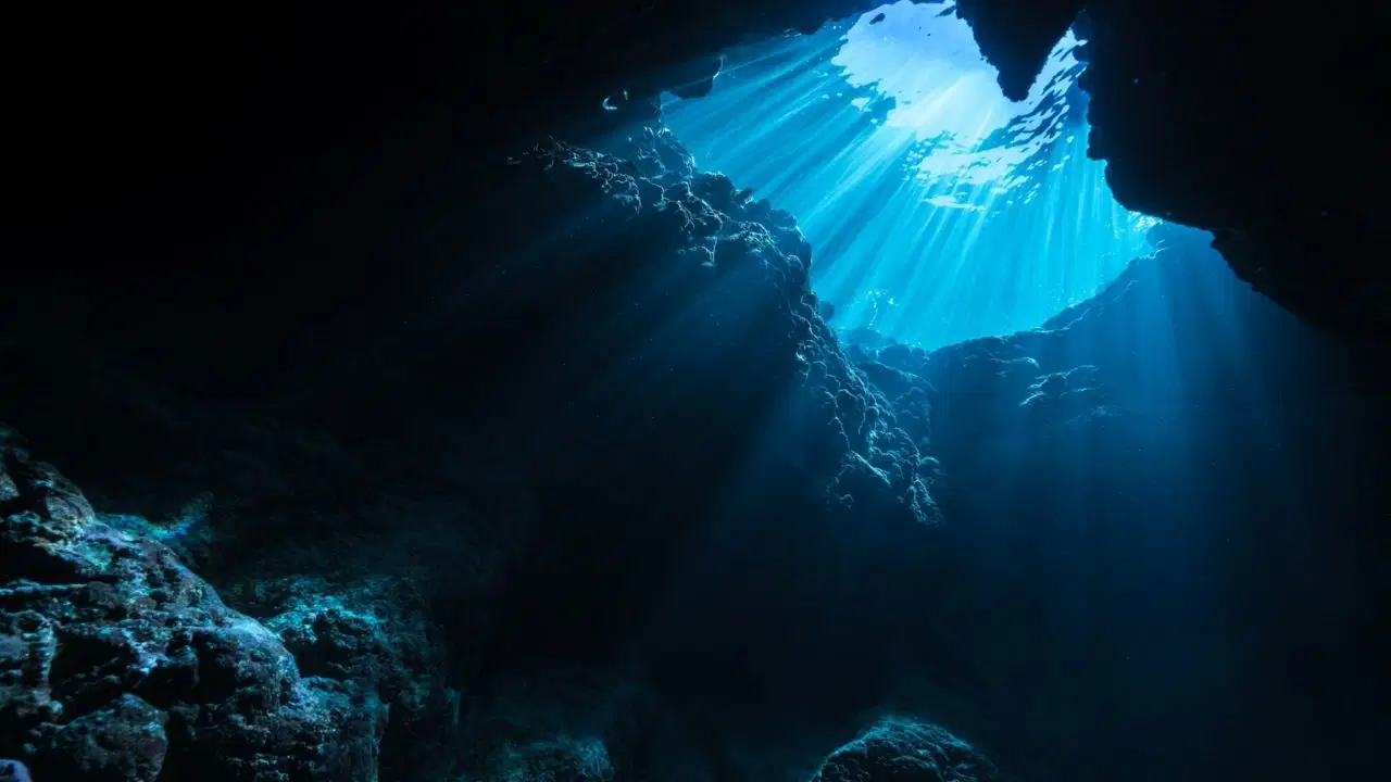 507 yaşındaki dünyanın en yaşlı canlısı bulunduğu gün öldürüldü