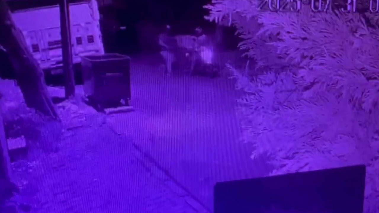 Üsküdar'da haraç istediler, oteli ve evi kurşunladılar!