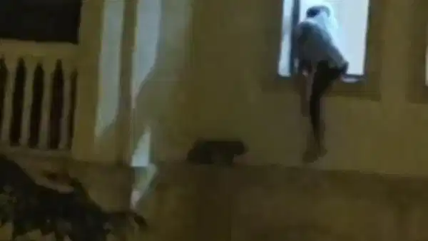 Mardin’de mahsur kalan kedi kurtarıldı