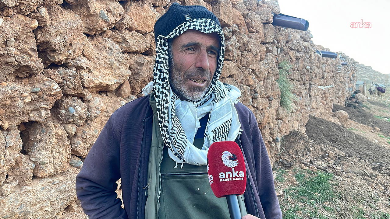 Vanlı besiciler zor günler geçiriyor: 'Eskiden kurbanlığın sohbeti vardı, şimdi kimse sormuyor bile'