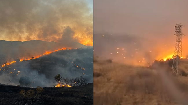 Siirt’te korkutan yangın