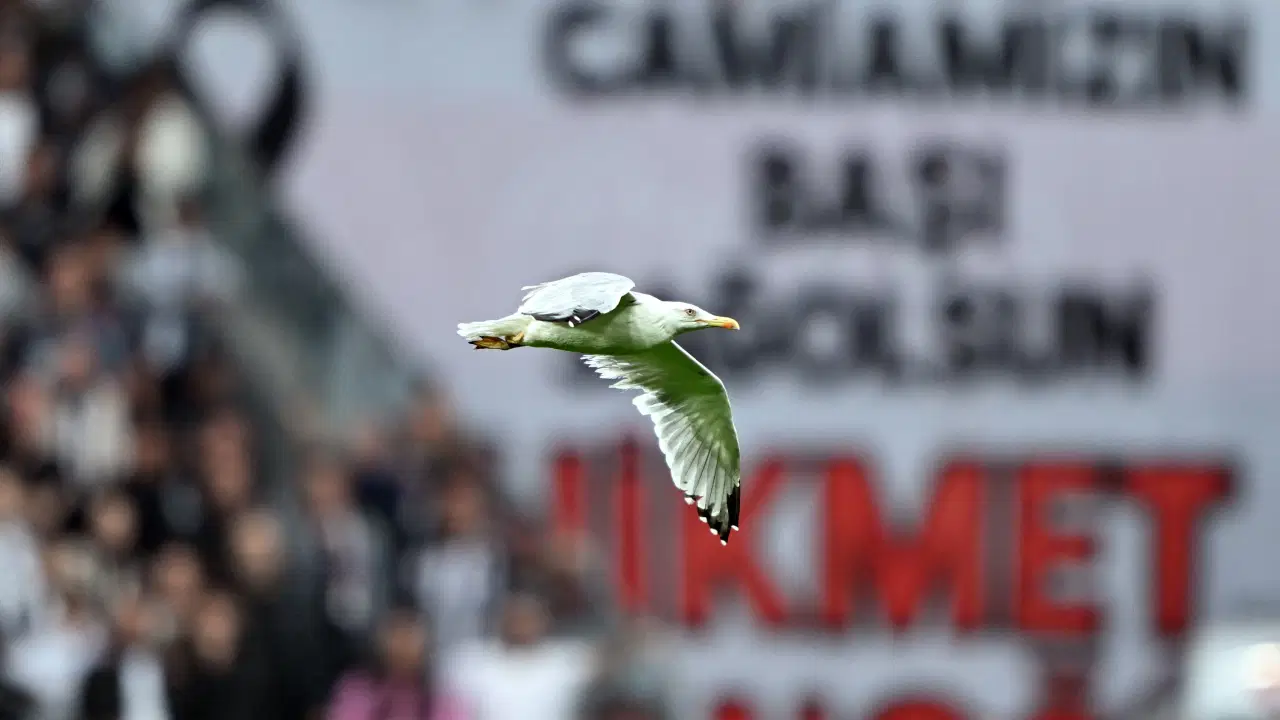 Dolmabahçe'de sürpriz misafir: Süleyman Seba'nın sözü akıllara geldi!