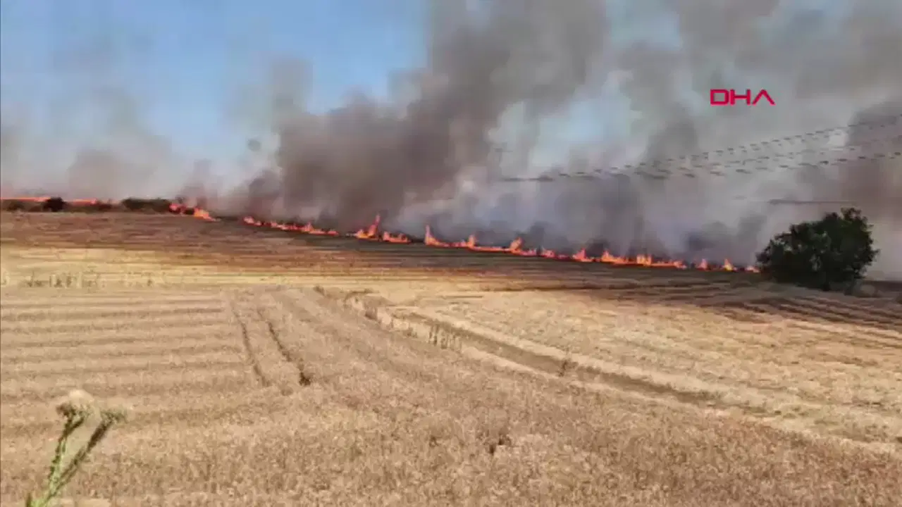 Edirne'de anız yangını: 500 dekar tarım arazisi zarar gördü