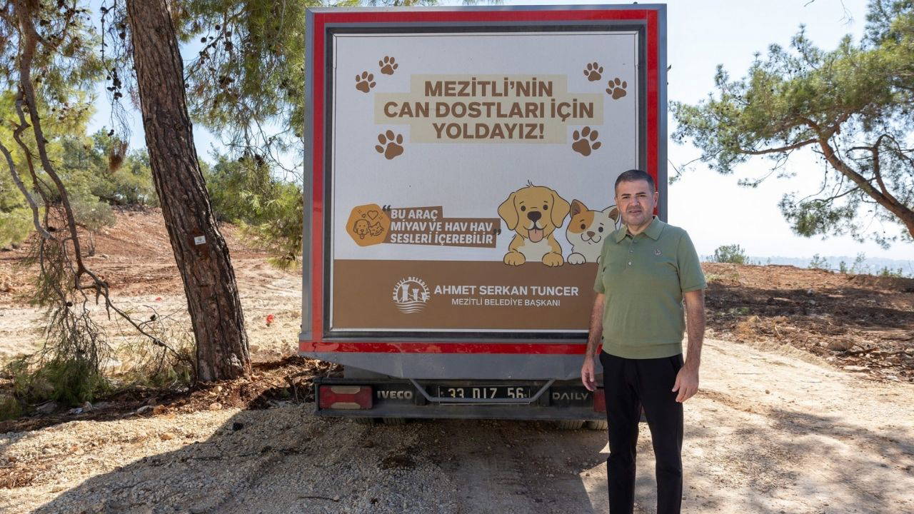Mezitli Belediyesi’nden sokak hayvanları için 'doğal yaşam alanı' projesi