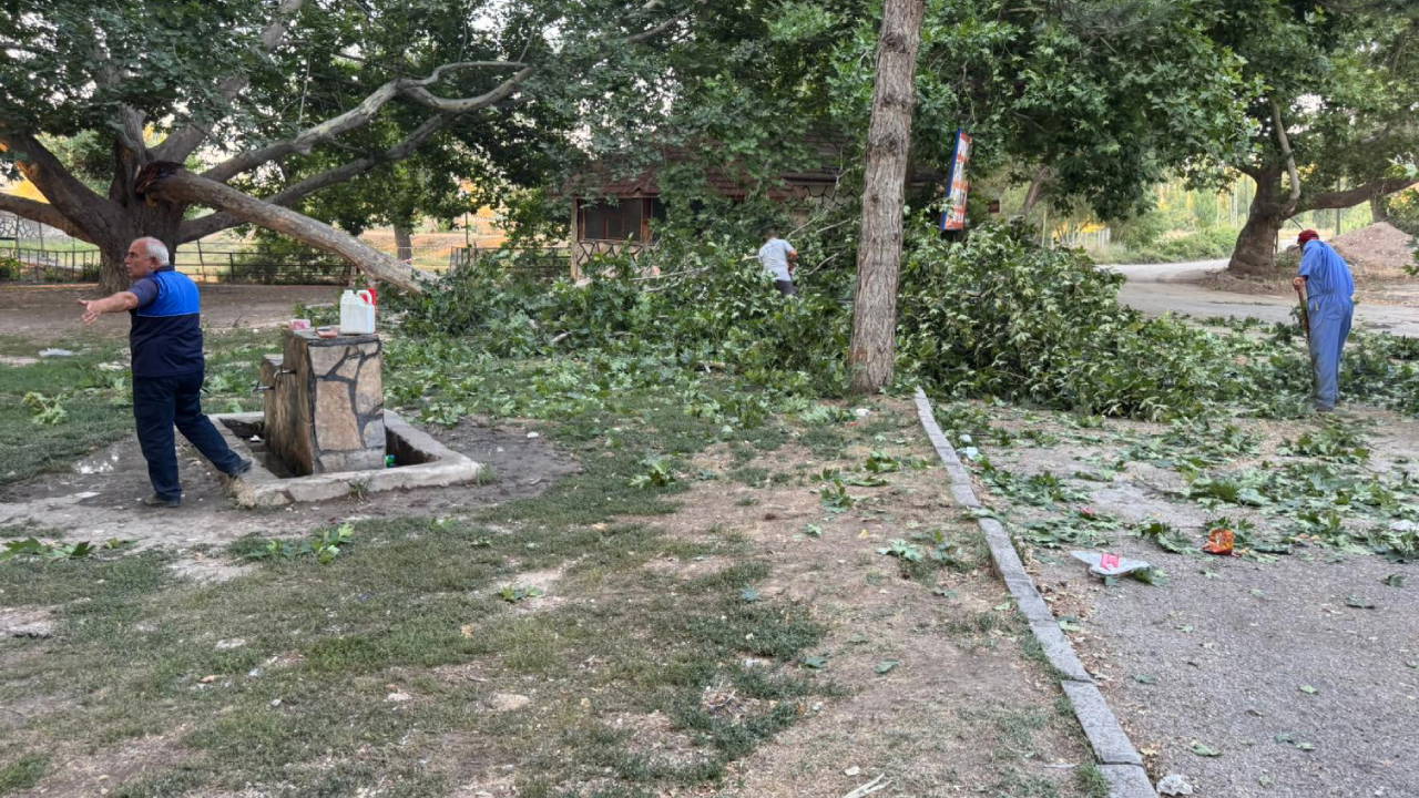 Ağacın kırılan dalı, piknik yapanların üzerine düştü: 11 yaralı