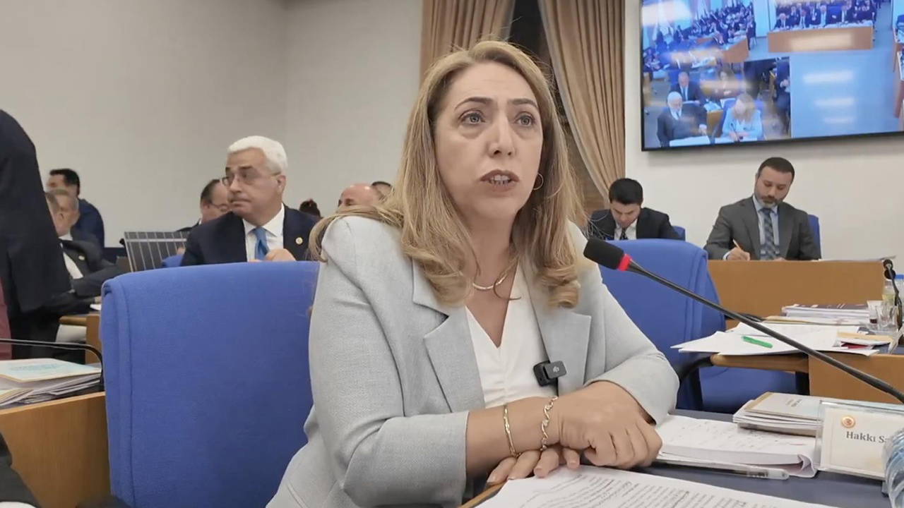 DEM Partili Aydeniz TBMM İdare Amirliği görevinden istifa etti