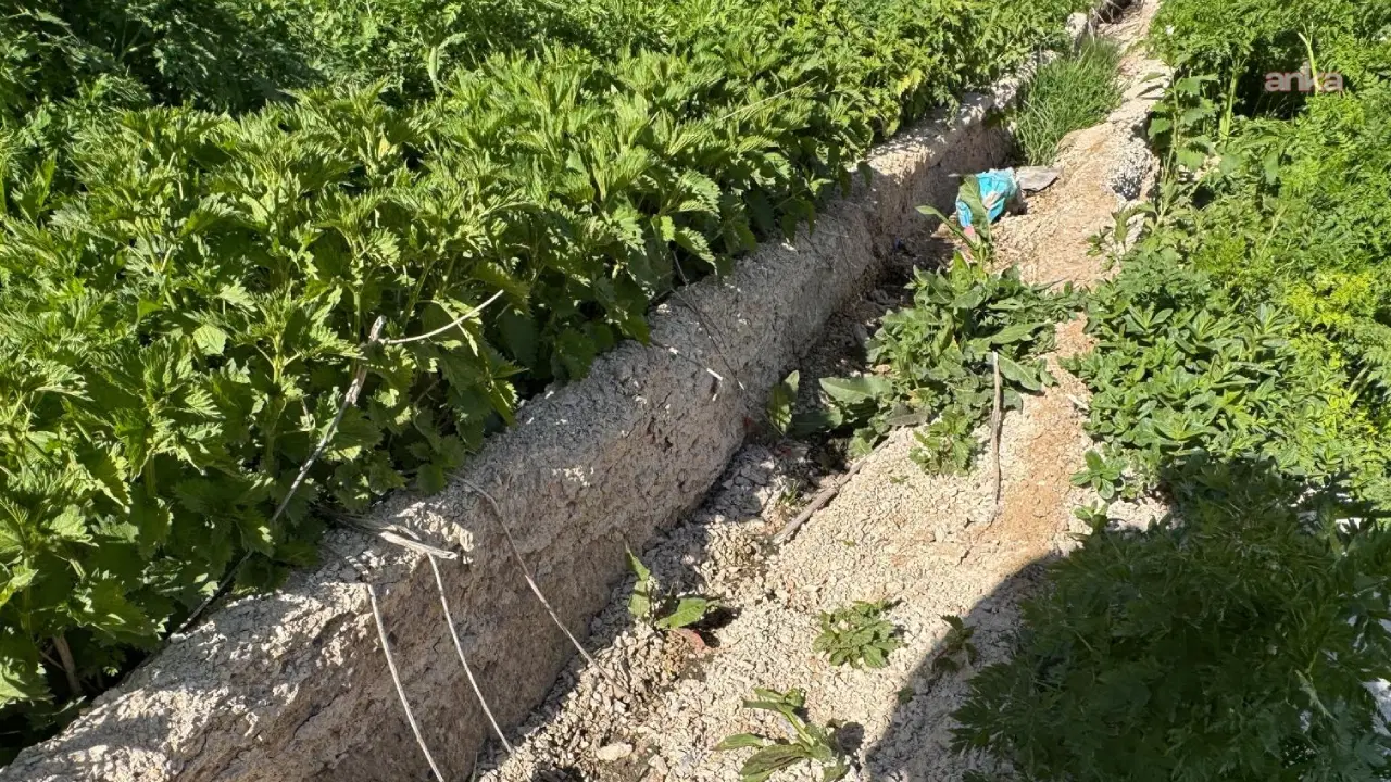 Hakkari'de 3 yıl önce yapılan kanal kullanılamaz hale geldi, köylü 'susuz kaldı'