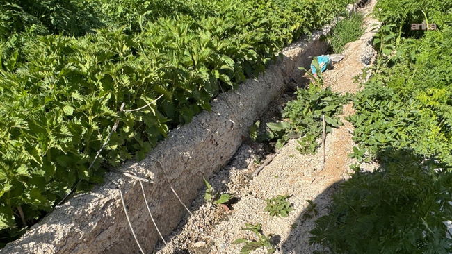 3 yıllık kanal kullanılamaz hale geldi: Köylü susuz kaldı