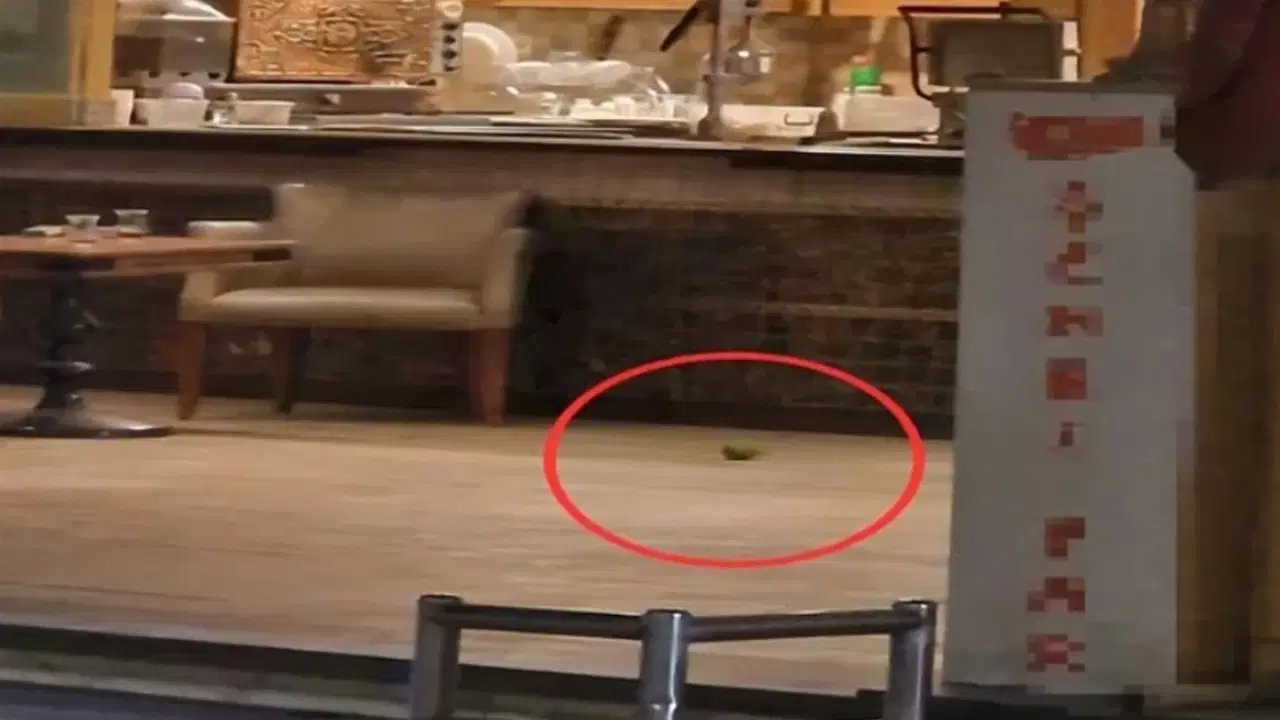 Pastaneye pimi çekilmemiş bomba atılmıştı: Ayrıntılar belli oldu!