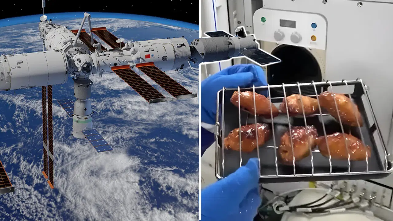 Tarihte bir ilk: Uzayda ızgara partisi!